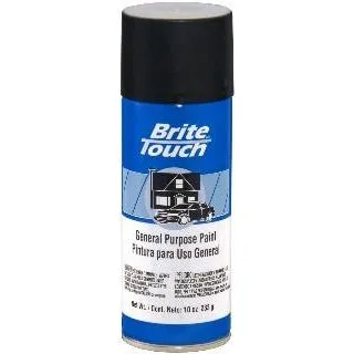 Brite Touch BT55 Spray Paint - Case of 6